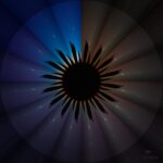 Giorno e notte in un fiore, la Nasa premia la foto di un siciliano