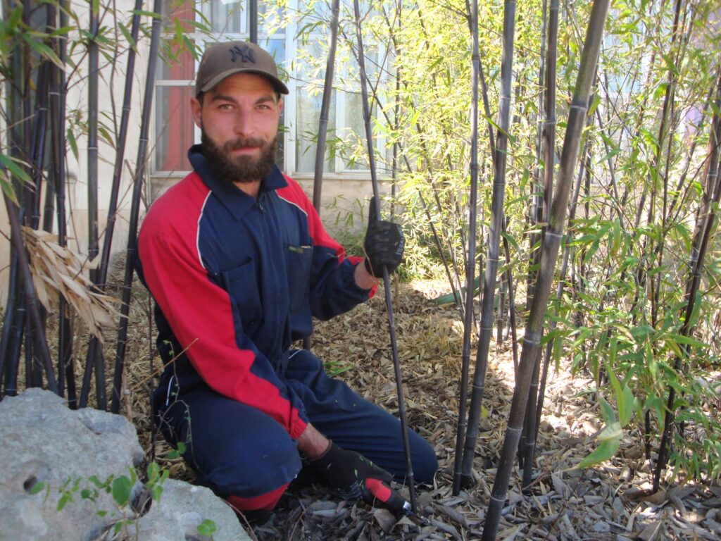 Matteo, da studente di agraria ad operatore qualificato, torna a scuola