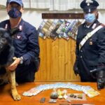 Ispica, il cane antiodroga Riley becca uno spacciatore 19enne recidivo