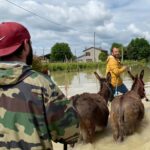 È di Comiso uno degli eroi degli animali in Romagna