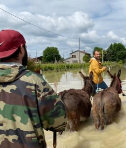 È di Comiso uno degli eroi degli animali in Romagna