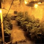 Un laboratorio della droga, arrestati due vittoriesi