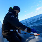Le microplastiche in tratti mare Mediterraneo aumentate dell'80%