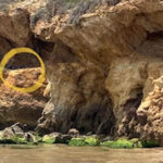 Degrado a Punta Braccetto: le bottiglie di birra nelle insenature