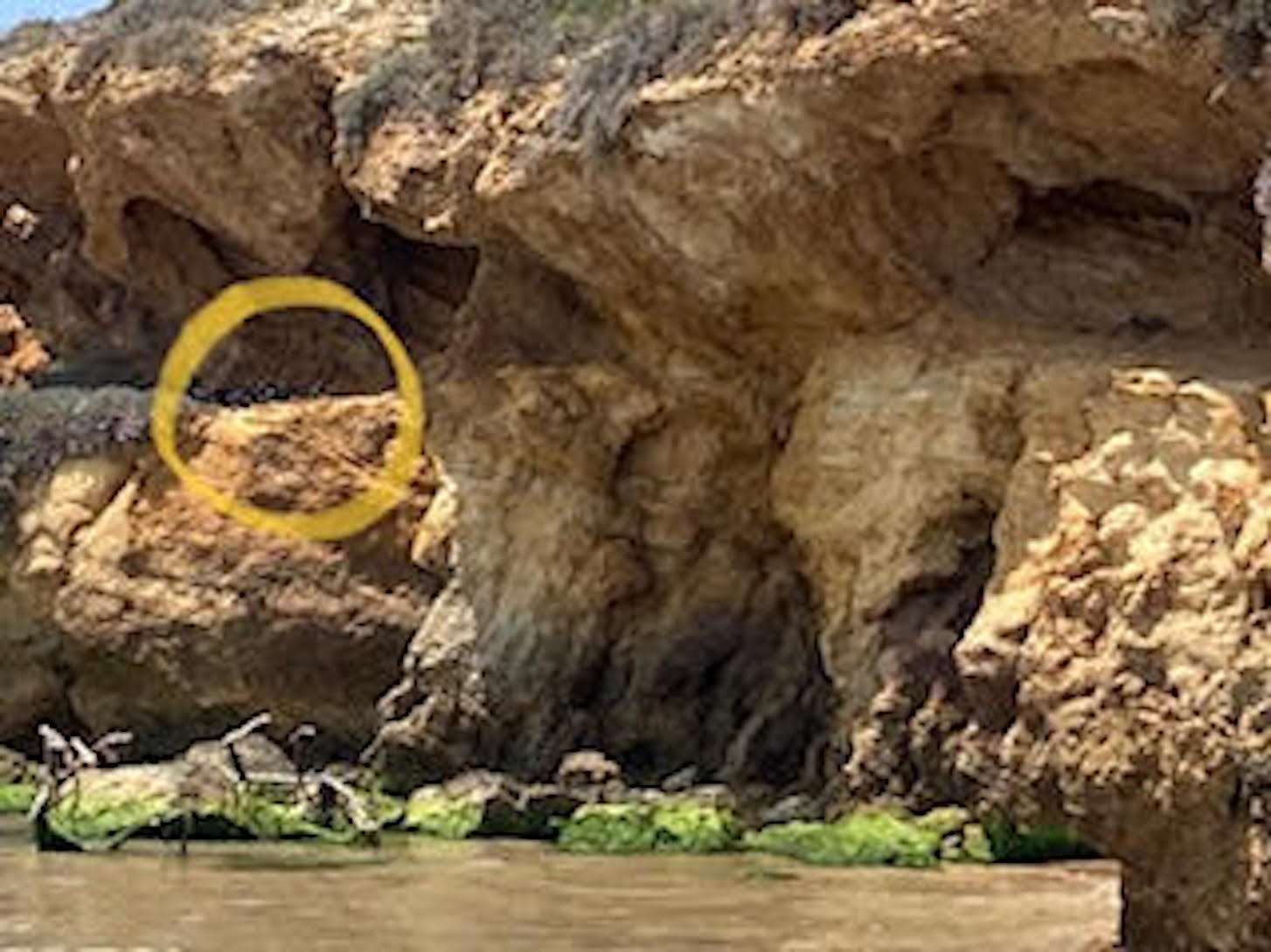 Degrado a Punta Braccetto: le bottiglie di birra nelle insenature