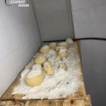 I Nas sospendono un allevamento e un caseificio tra Ispica e Rosolini