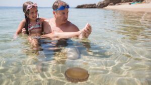 Morsi delle meduse, quali sono i rimedi