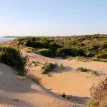 I nudisti nella spiaggia di Randello, forse serve il senso del pudore