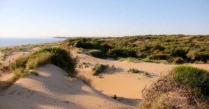 I nudisti nella spiaggia di Randello, forse serve il senso del pudore