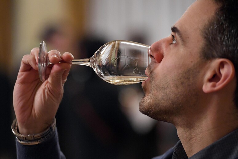 Torna la Festa del vino a Montevago