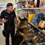 Il minimarket di Punta Braccetto fiorente luogo di spaccio di droga