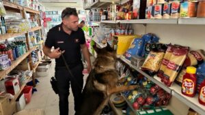 Il minimarket di Punta Braccetto fiorente luogo di spaccio di droga