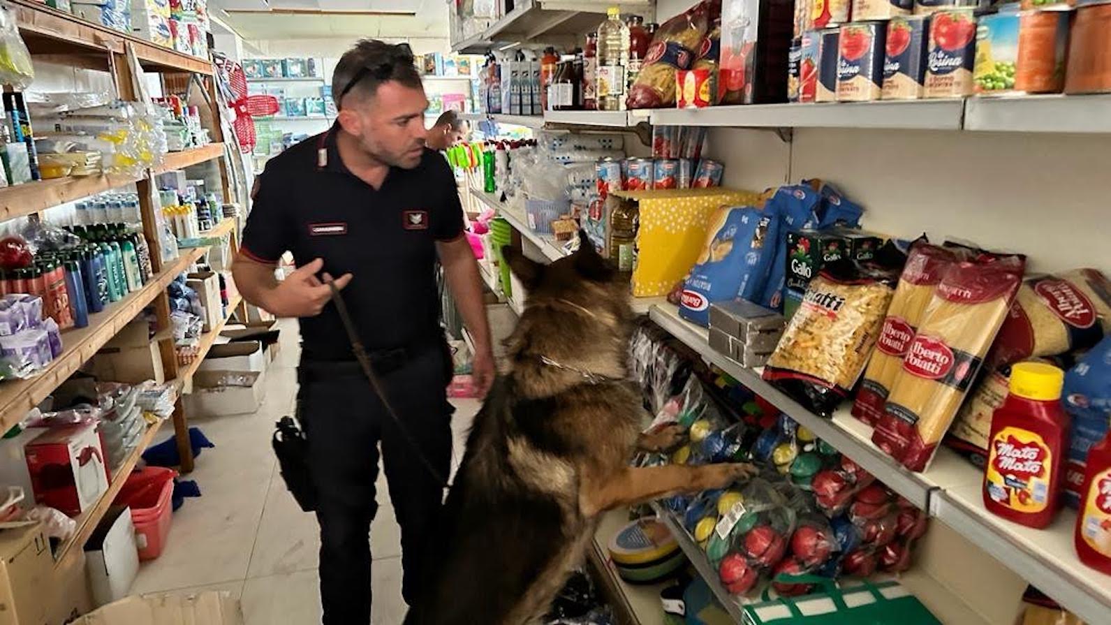 Il minimarket di Punta Braccetto fiorente luogo di spaccio di droga