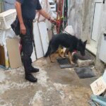 Pozzallo, arrestato spacciatore 24enne