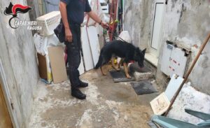 Pozzallo, arrestato spacciatore 24enne