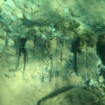 Un relitto navale tardo romano nel mare di Punta Secca