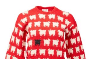 Il maglione della 'pecora nera' di Lady D vola all'asta