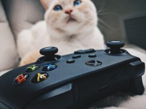 Il kit del videgiocatore: Xbox Game Pass Core e Punti FC