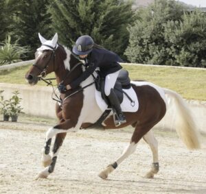Equitazione, salto ad ostacoli, bene Ginevra Maria Maggio