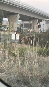 Ecco il tratto autostradale dove è stato trovato il corpo di Fabio Vita