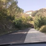 Gli alberi sulla carreggiata lungo la vecchia Modica-Ragusa