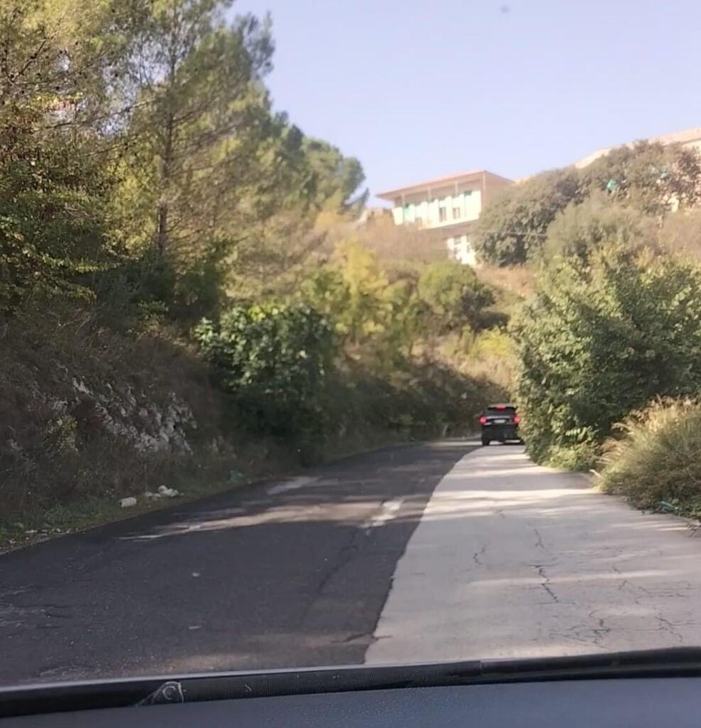 Gli alberi sulla carreggiata lungo la vecchia Modica-Ragusa