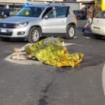 Si è costituito il pirata della strada che ha ucciso un uomo e un cavallo
