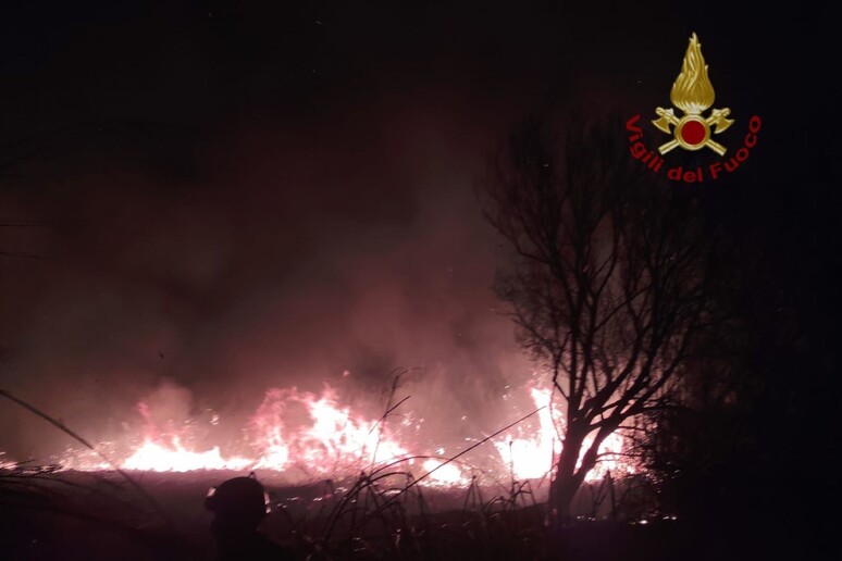 Incendio distrugge 5 ettari di canneto nell’oasi di Vendicari