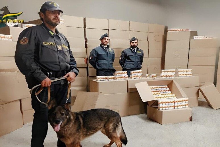 Sequestrati 1200 kg di sigarette contrabbando, arrestata donna