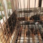 Racket al cimitero di Pozzallo, sgominata banda