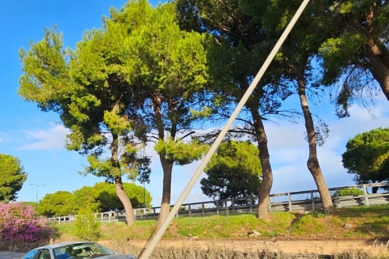 Automobilista contro un palo, soccorso da un poliziotto