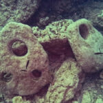 Trovate due antiche ancore in pietra in fondali siracusani