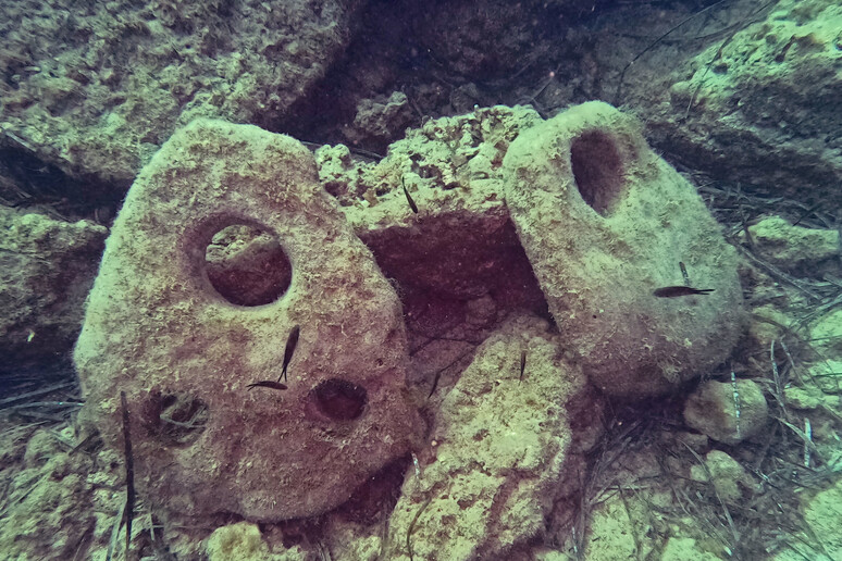 Trovate due antiche ancore in pietra in fondali siracusani