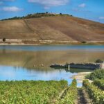 Di Mauro, progetto per evitare stop uso irriguo Lago Arancio
