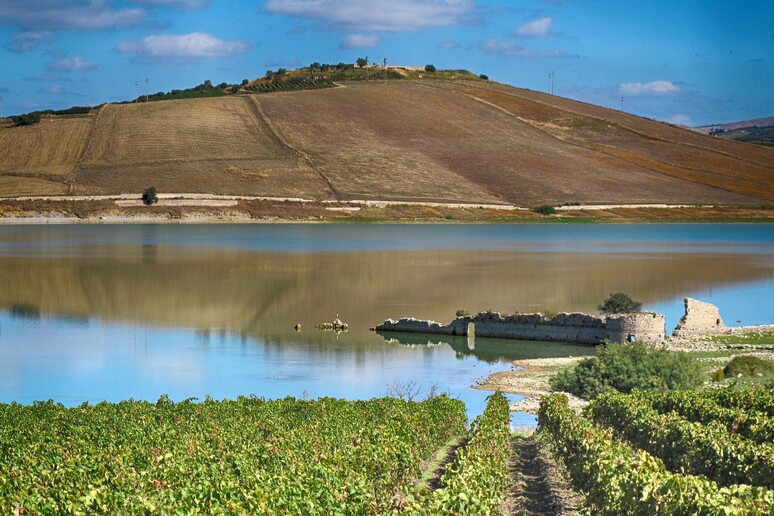 Di Mauro, progetto per evitare stop uso irriguo Lago Arancio