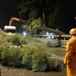 Maltempo: vento oltre 100 km orari a Palermo, danni