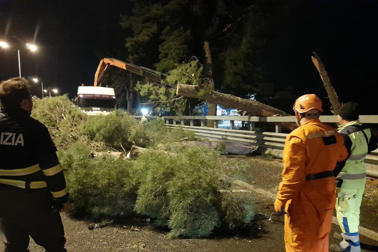 Maltempo: vento oltre 100 km orari a Palermo, danni