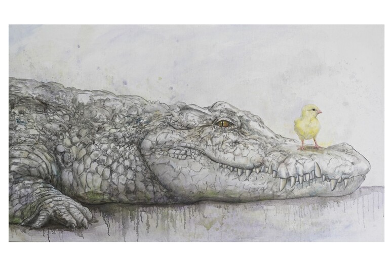 La terra gira e non cade, in mostra a Palermo opere di Insinna