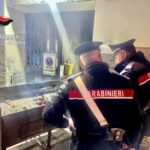 Catania, sequestrati 400 chili di carne di cavallo in via Plebiscito