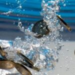 Modica, bollette dell'acqua, qualcuno ci capisce qualcosa?