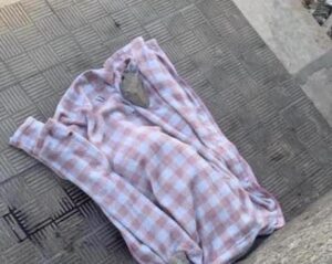 Vittoria, l’uomo col cane di grossa taglia, che fa sbranare i gattini