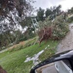Maltempo, volano gli alberi a Noto