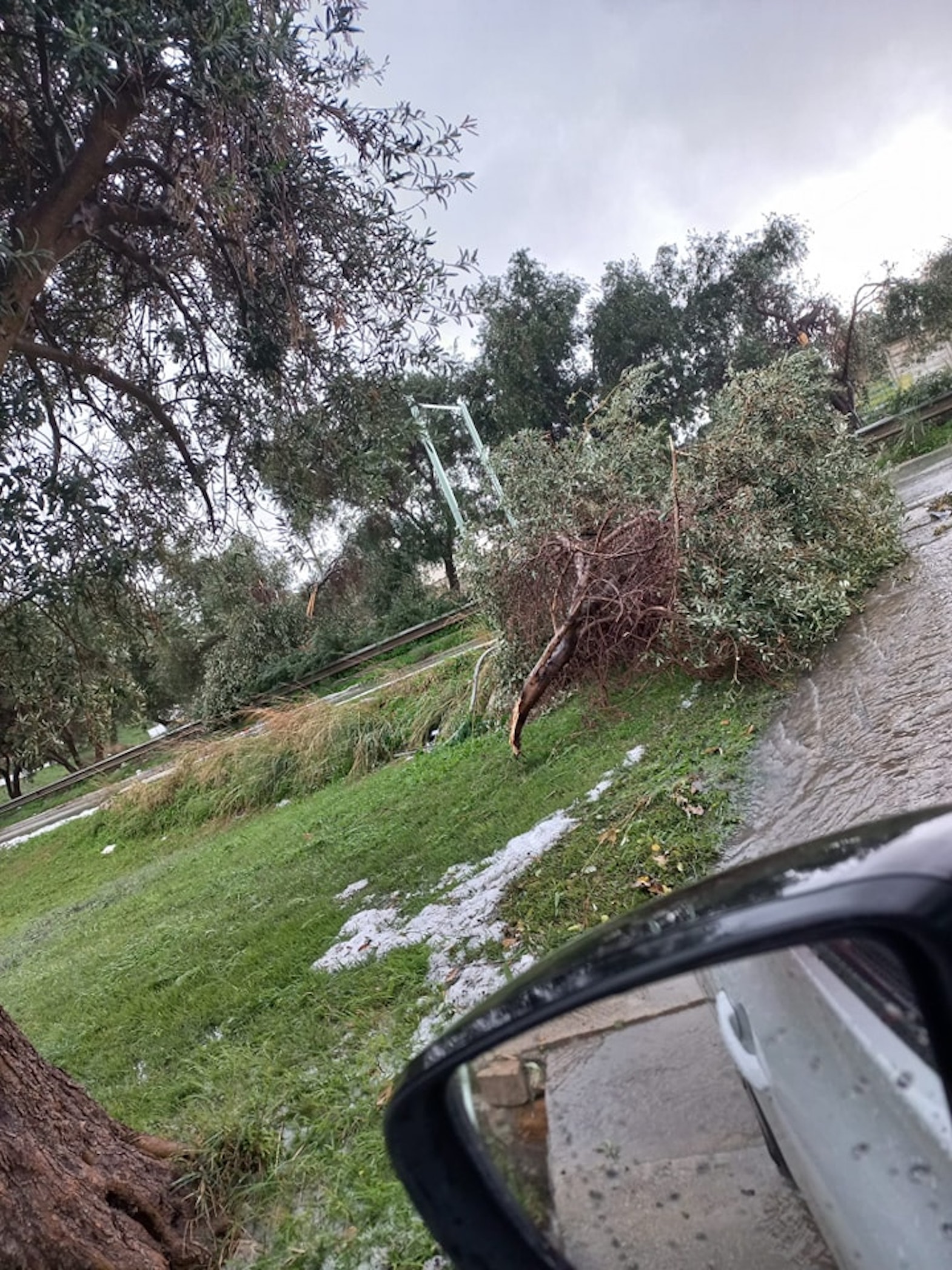Maltempo, volano gli alberi a Noto