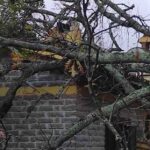 Maltempo, un albero cade su una casa di Modica alta