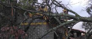 Maltempo, un albero cade su una casa di Modica alta