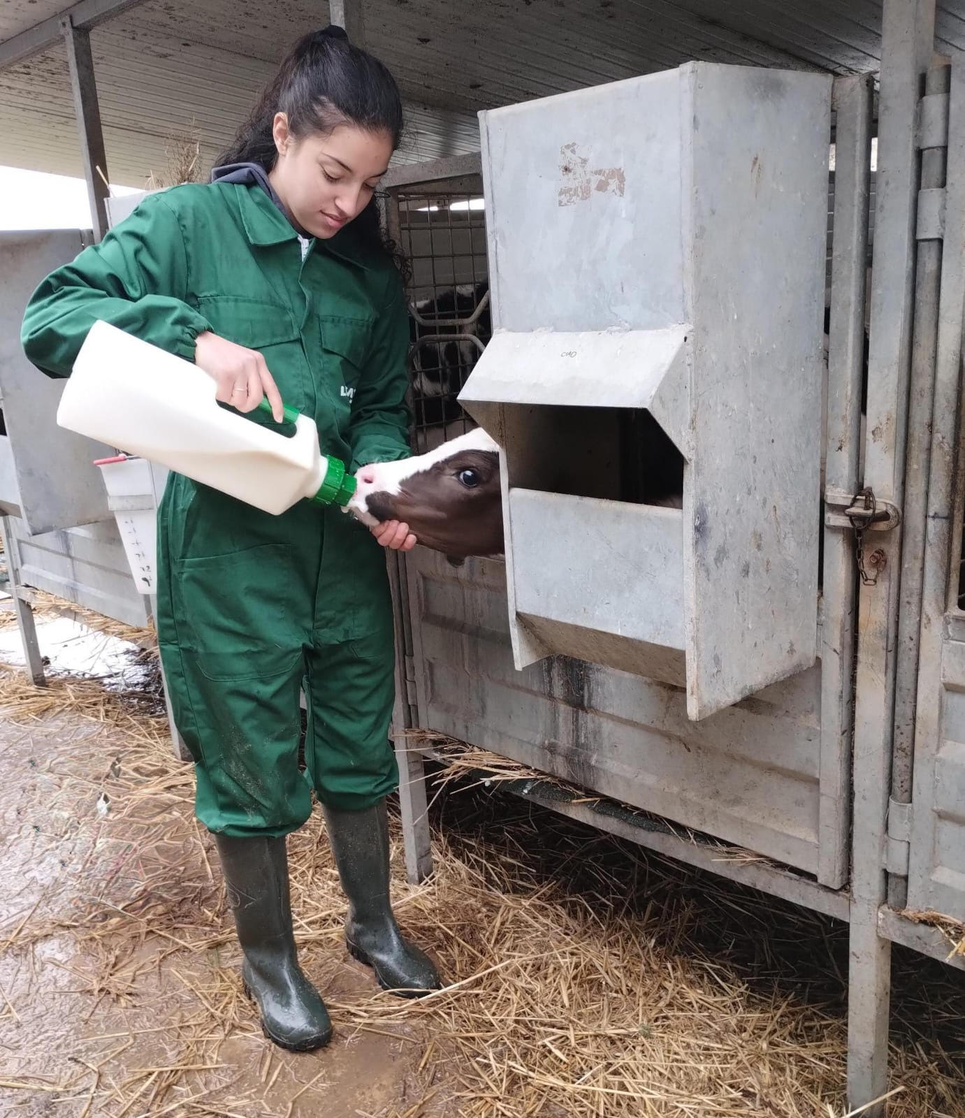 La zootecnia Campo a Ragusa, un’azienda che si tinge di rosa