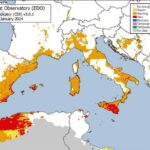 Siccità in Sicilia, arance al macero