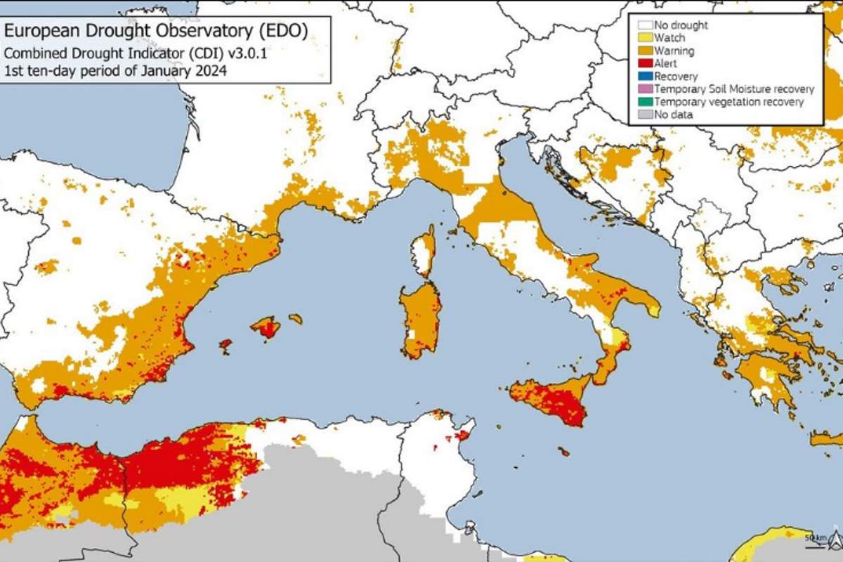 Siccità in Sicilia, arance al macero
