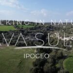 Escursione a Cava Sulla