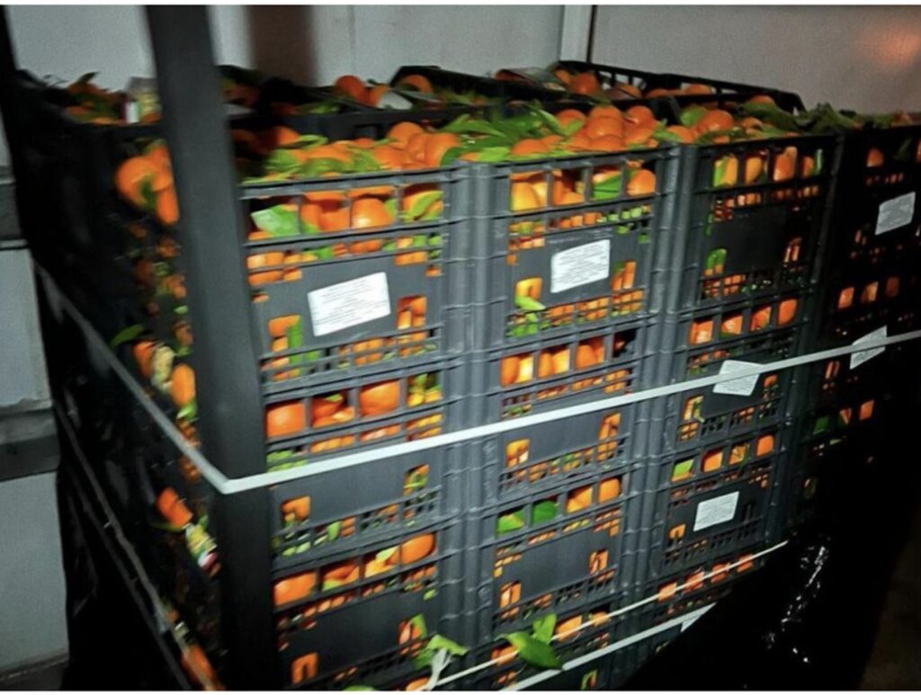 Bloccati a Malta 3 tonnellate di agrumi provenienti da Pozzallo